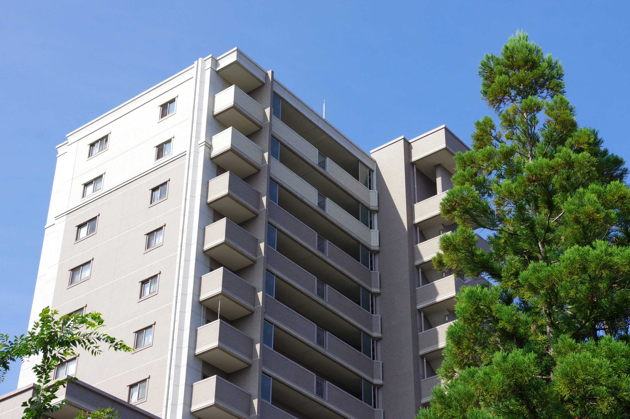 不動産業